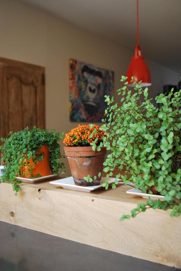 Bed and Breakfast Natangora Marcillac-Vallon Esterno foto